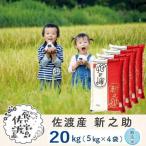 米 無洗米 20kg