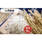 ショッピングふるさと納税 米 ふるさと納税 【予約受付】【令和６年米】【新米】長野県産　減農薬栽培コシヒカリ／精米／9kg・9,000円／11月配送 長野県宮田村