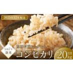 ふるさと納税 【予約受付】【令和６年米】【新米】長野県産　減農薬栽培(栽培期間中)コシヒカリ／玄米／20kg・16,000円／12月配送 長野県宮田村