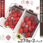 産いちご 晴苺 秀