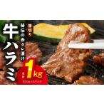 ふるさと納税 牛ハラミ肉 1kg 薄切り スライス 小分け 500g×2 訳あり サイズ不揃い 秘伝の赤タレ漬け 焼肉 牛肉 大阪府泉佐野市