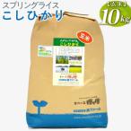 コシヒカリ10kg 新米 米 こめ コメ こしひかり