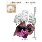 fu.... налог . праздник . бабочка орхидея белый большой колесо 3шт.@.24 колесо упаковка цвет розовый _ цветок * декоративное растение . бабочка орхидея цветок _[1258112] Osaka (столичный округ) . блок 