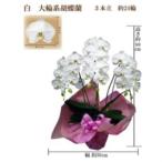 fu.... налог ... бабочка орхидея белый большой колесо 3шт.@.24 колесо упаковка цвет фиолетовый _ цветок * декоративное растение . бабочка орхидея цветок _[1258115] Osaka (столичный округ) . блок 