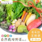 自然栽培野菜セット 年4回春夏秋冬 2~3人用