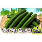 fu.... налог .... огурец 2kg огурец сырой овощи свежий Miyazaki префектура Miyazaki город 