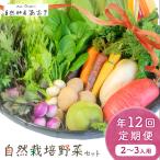 自然栽培野菜セット 年12回 2~3人用