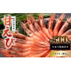 ふるさと納税 新鮮美味!甘エビ(船凍甘エビ 中サイズ)約500g おいしいたまり醤油付【えび エビ 海老 甘えび 海鮮 お造り 刺身 おせち 海鮮丼 生.. 福井県美浜町
