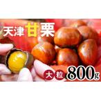 天津甘栗 800g