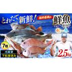 福井 若狭の鮮魚セット 秋~冬 計約2.5kg