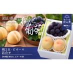 白桃 ニューピオーネ 詰合せ 約1.0kg