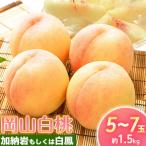 桃 岡山白桃 約1.5kg