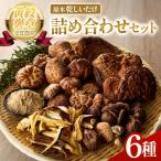 乾燥しいたけ 6種セット 椎茸 干ししいたけ