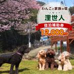宿泊補助券 浬世人 リセット 犬 ペット宿泊補助券