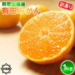 有田みかん 1kg