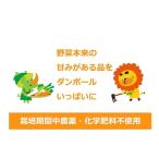 野菜セット 旬の野菜5種 農園直送 野菜セット