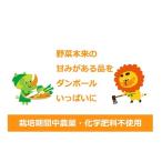 野菜セット 旬の野菜6種+加工品