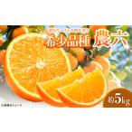 みかん 農六 約5kg
