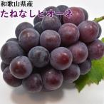 和歌山 たねなしピオーネ約3kg