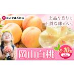 岡山白桃 約2kg