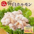 牛肉 ホルモン 定期便3回 熊本あか牛 白ホルモン 計1.5Kg