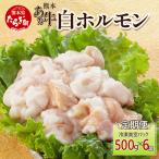 牛肉 ホルモン 定期便6回 熊本あか牛 白ホルモン 計3Kg
