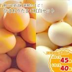 農林水産大臣賞受賞 ひまわりたまご 紅白セット