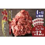 豚肉 切り落とし 約3kg