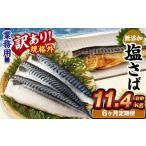 業務用 無添加塩さば 1.9kg