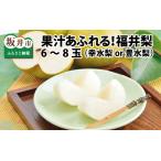 ふるさと納税 【先行予約】「福井梨」6〜8玉 シャキっとした食感♪ あふれ出す果汁！【豊水梨】【2026年9月上旬〜9月下旬発送予定】【梨 なし 和.. 福井県坂井市