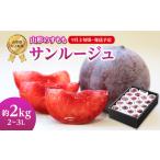 ふるさと納税 《先行受付》すもも「サンルージュ」約2kg 2〜3L【2025年9月上旬頃〜発送予定】【山形プラム・大江町産】 001-079 山形県大江町
