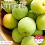 紀州南高梅 青梅 10kg〈Lサイズ〉