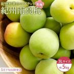 紀州南高梅 青梅 5kg〈大粒 3Lサイズ〉
