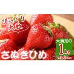 大粒 さぬきひめいちご 約1kg