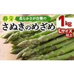 春芽 太物アスパラガス さぬきのめざめ 約1kg