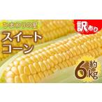 イエローコーン 約6kg