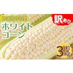 ホワイトコーン 約3kg