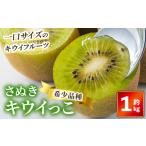 fu.... налог < предшествующий предварительный заказ!2026 год 11 месяц средний . после последовательный отправка предположительно >... киви ..( примерно 1kg) фрукты фрукты свежий Kagawa префектура фрукты популярный [man179][Ag.. Kagawa префектура ... . блок 