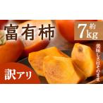 富有柿 約7kg