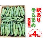 そらまめ 約4kg