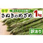 春芽 アスパラガス さぬきのめざめ 約1kg