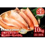 ふるさと納税 旨塩！とろサーモンハラミ10kg D-09006 北海道根室市