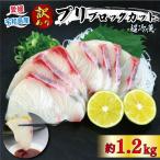 刺し身フ ゙リフ ゙ロック1.2kg オンスイ刺し身刺し身刺し…
