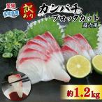 カンパチ 訳あり 超冷薫 加工 ブロック カット 1.2kg