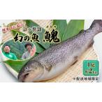 イトウ 幻の魚 鮮魚