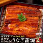 うなぎ 蒲焼 170g×2尾