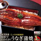 うなぎ 蒲焼 200g×3尾