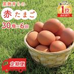 平飼いたまご 定期便 30個