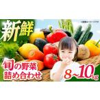 旬の野菜詰合せ 野菜 セット