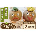 多肉 ポット つちだくん2個 多肉植物